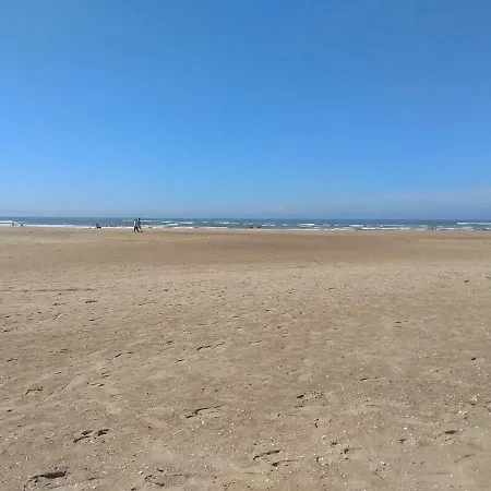 Apartment Urbanizacion Alcaudon 50m Playa